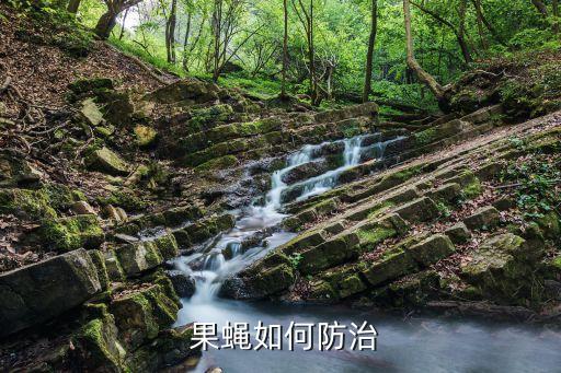 果蜂果蠅打什么農藥,友好果蠅果有什么用