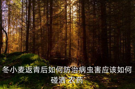冬小麥返青后如何防治病蟲害應該如何碰灑 農藥