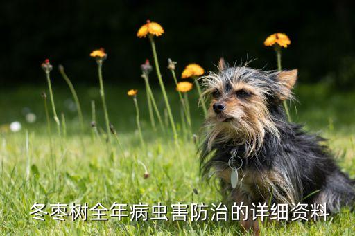 冬棗內有蟲打什么農藥
