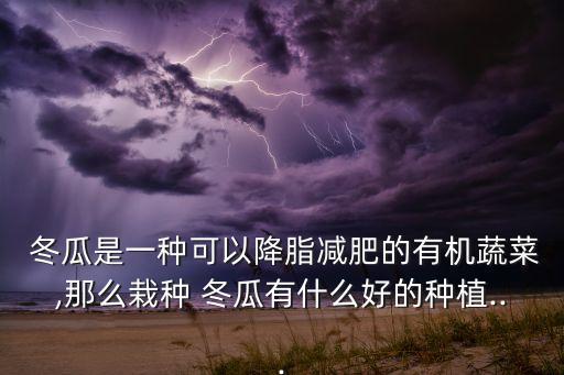  冬瓜是一種可以降脂減肥的有機(jī)蔬菜,那么栽種 冬瓜有什么好的種植...