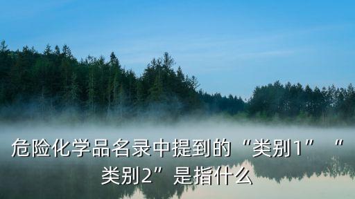 危險(xiǎn)化學(xué)品名錄中提到的“類(lèi)別1”“類(lèi)別2”是指什么