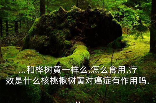 ...和樺樹黃一樣么,怎么食用,療效是什么核桃楸樹黃對癌癥有作用嗎...