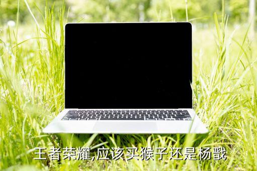  王者榮耀,應(yīng)該買猴子還是楊戩