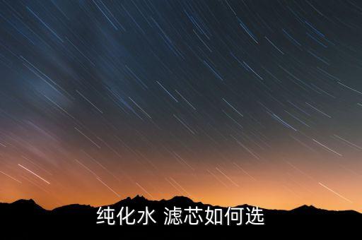 純化水 濾芯如何選