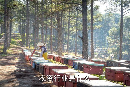 軟件工程屬于什么專業類別,農藥化肥屬于什么專業類別