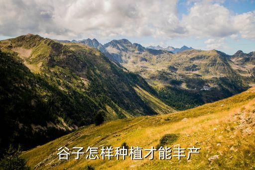谷子打什么農(nóng)藥,谷子用什么農(nóng)藥控旺長(zhǎng)