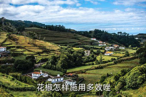 花椒發(fā)芽時施什么農(nóng)藥,花椒樹什么發(fā)芽