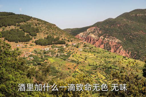 酒里加什么一滴致命無色 無味