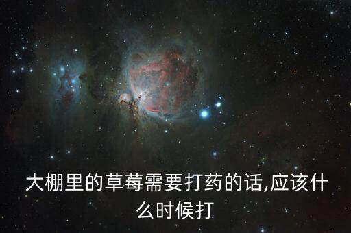  大棚里的草莓需要打藥的話,應該什么時候打