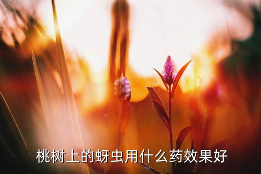 桃樹打什么農藥治芽蟲,桃樹用什么農藥好
