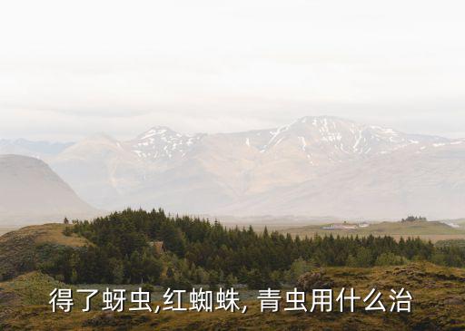得了蚜蟲,紅蜘蛛, 青蟲用什么治