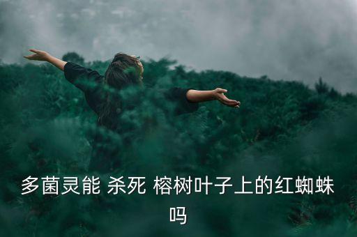 多菌靈能 殺死 榕樹葉子上的紅蜘蛛嗎