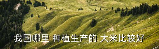 什么地方種植大米不打農藥,大米在什么地方種植最好