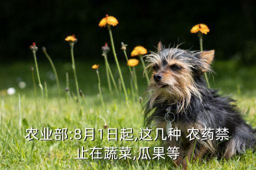 溴甲烷是什么農(nóng)藥,二氟一氯一溴甲烷是什么東西