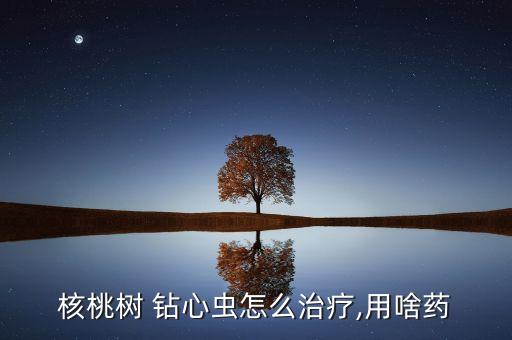 核桃樹 鉆心蟲怎么治療,用啥藥