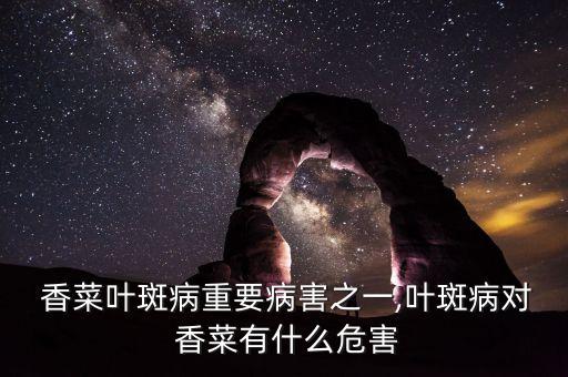  香菜葉斑病重要病害之一,葉斑病對 香菜有什么危害