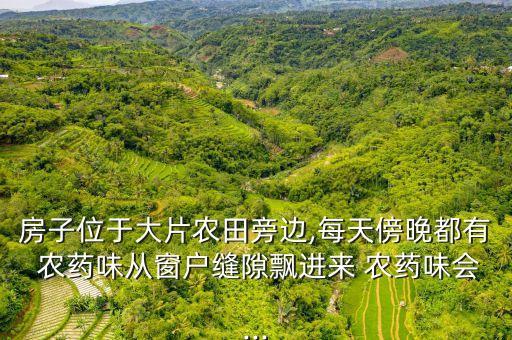 屋頭為什么有農藥味道呀