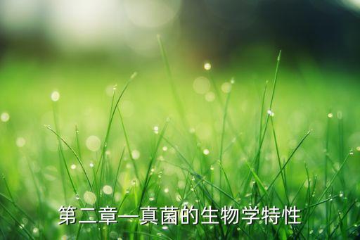 農藥菌絲是什么成分,農藥pbo是什么成分