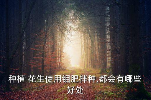 拌花生種子用什么農(nóng)藥,農(nóng)藥拌花生種子結(jié)果會不會有毒