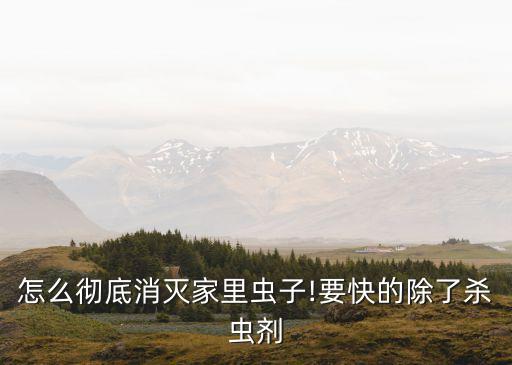 怎么徹底消滅家里蟲子!要快的除了殺蟲劑