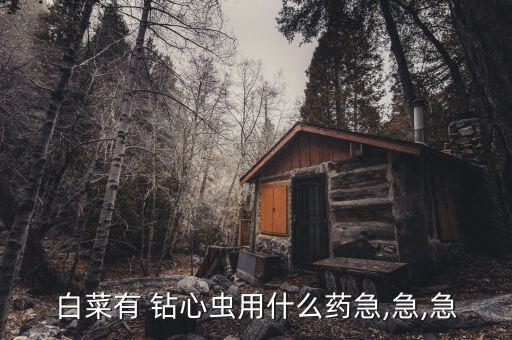 白菜有 鉆心蟲用什么藥急,急,急