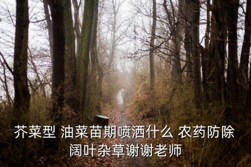 油菜11月份什么農藥,冬季油菜打什么農藥好