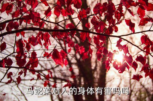 用什么農藥去除馬蛇菜,什么能去除農藥味道