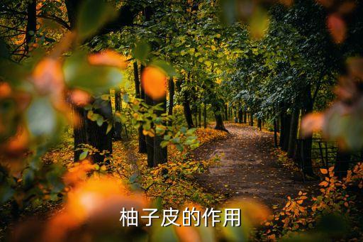 柚子皮的作用
