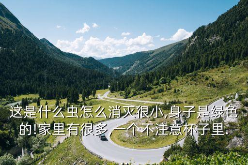 蠓子蟲怕什么農藥殘留