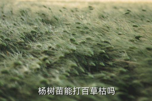  楊樹苗能打百草枯嗎