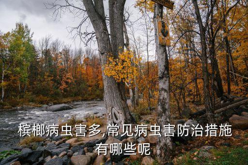  檳榔病蟲害多,常見病蟲害防治措施有哪些呢