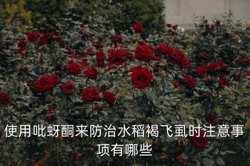 使用吡蚜酮來防治水稻褐飛虱時注意事項有哪些