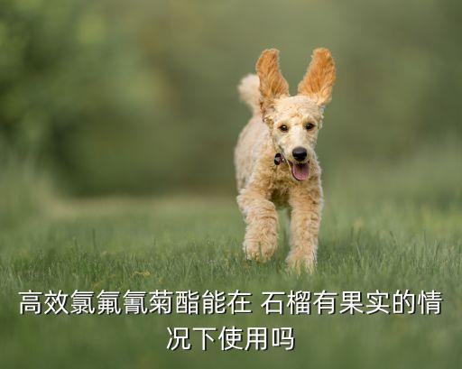 石榴需用什么農藥消毒殺菌
