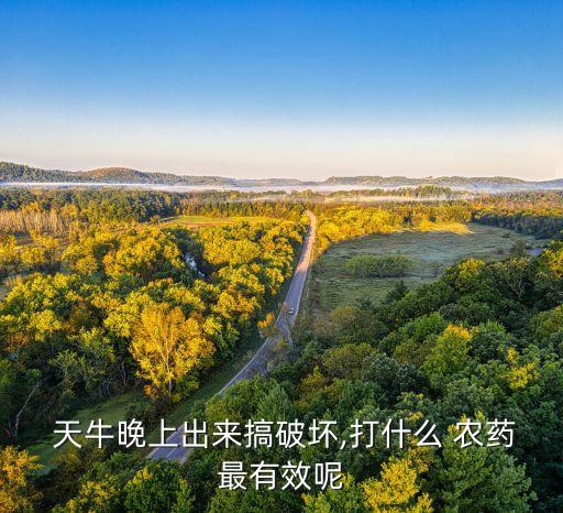 桉樹(shù)天牛蟲(chóng)用什么農(nóng)藥殺蟲(chóng)