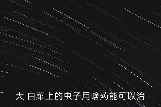 大 白菜上的蟲子用啥藥能可以治