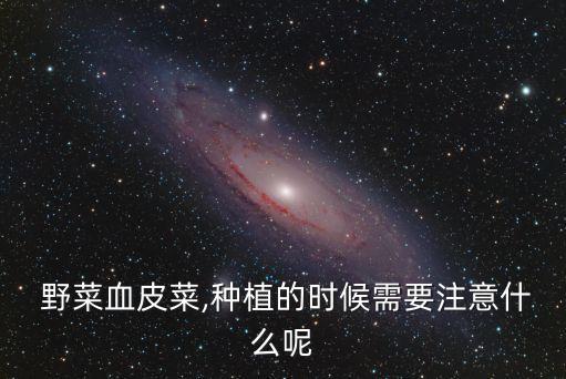野菜打什么農(nóng)藥好,打野菜什么意思