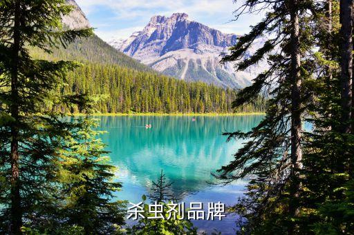 什么牌子的農藥對人沒害,農藥噴霧器什么牌子好