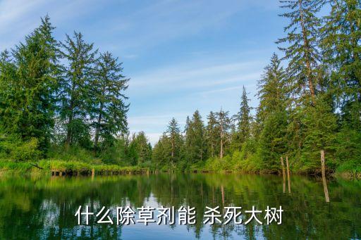 什么除草劑能 殺死大樹