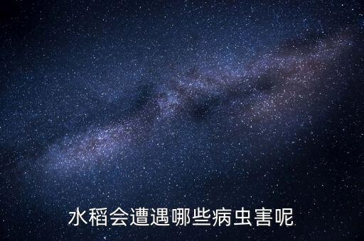 褐稻虱用什么農藥