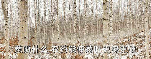 蔥噴什么 農藥能使蔥葉更綠更硬