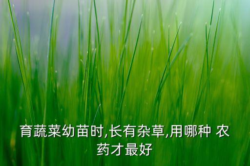 噴農(nóng)藥噴什么最好呢圖片,青菜噴農(nóng)藥什么時間噴好