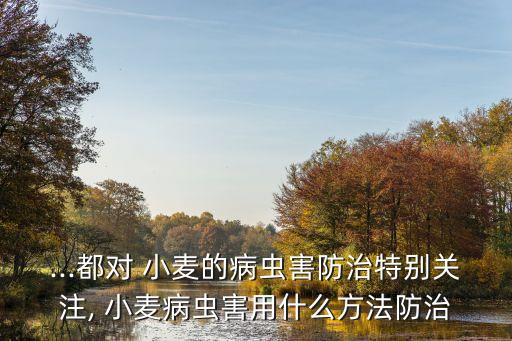 ...都對 小麥的病蟲害防治特別關注, 小麥病蟲害用什么方法防治