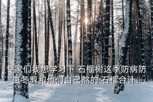 專家們我想學習下 石榴樹這季防病防蟲冬剪和他們自己熬的 石榴合計...