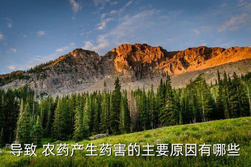 農藥污染原因是什么,農藥對土壤的污染的主要途徑是什么
