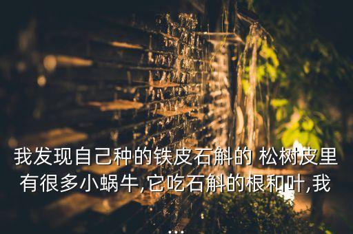 松樹皮打什么農藥能殺蟲,什么農藥能殺死松樹