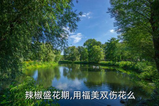  辣椒盛花期,用福美雙傷花么