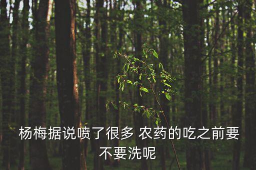 楊梅什么時候農(nóng)藥,東山楊梅什么時候上市
