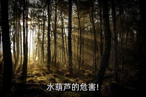 水葫蘆的危害!