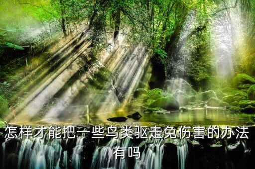 怎樣才能把一些鳥類驅走免傷害的辦法有嗎