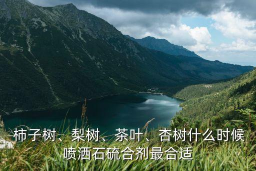 柿子什么時候打農藥,柿子打農藥嗎